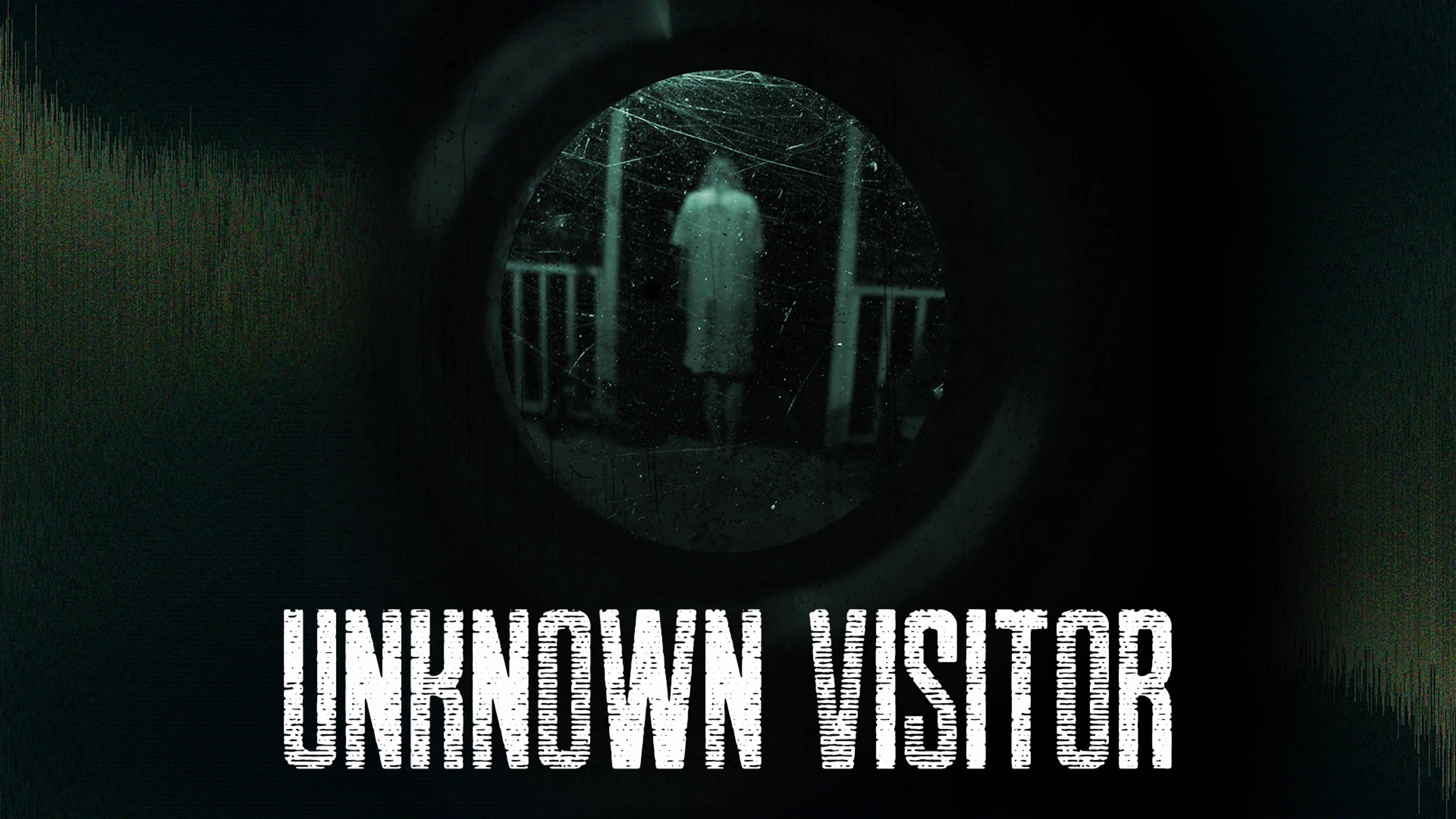 Unknown Visitor poster